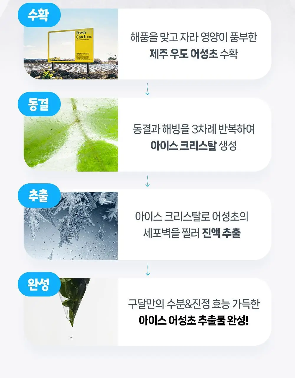 [수분캐치/진정패드] 구달 어성초 히알루론 수딩 클리어 패드 70매 더블기획 (+70매 리필) 상세페이지 30